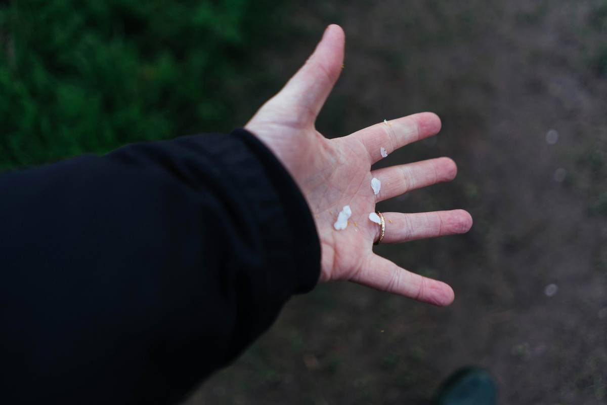 Comparison chart showing performance metrics of different shaving cream types: foam, gel, and cream across skin protection, glide, and hydration levels